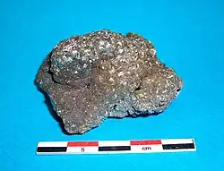 Encroûtante sur grès calcaire d'âge primaire (carrière de Beez). Belgique.