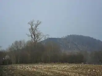 Image illustrative de l’article Tumulus de Marcinelle