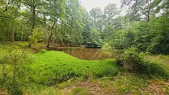 La mare aux corbeaux.