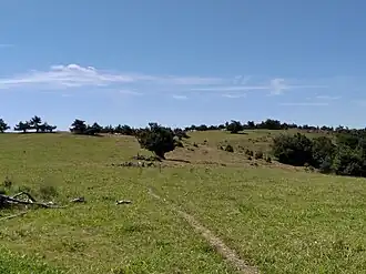 Paysage de Margeride.