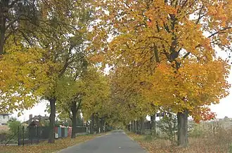 Marianów (Varsovie-ouest)