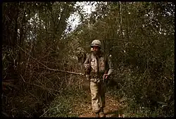 Un soldat dans une forêt vietnamienne du type qui a inspiré certains mondes de Star Wars.