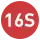 Ligne 16S