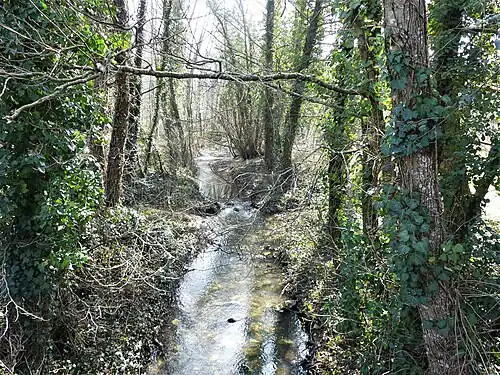 Le Martarieux au lieu-dit Perboyer, en limite de Saint-Médard-de-Mussidan (à gauche) et Beaupouyet.