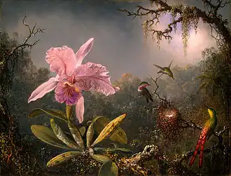 Orchidée cattleya et trois colibris brésiliens (1871), National Gallery of Art, Washington