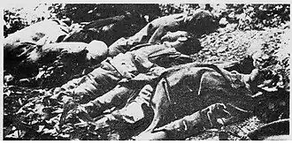 Les corps de Jan Ryckoort, Joris Van Severen, Lucien Monami, René Wéry, et de deux Italiens.