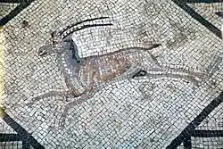 Détail de mosaïque polychrome avec figures animales d’une Domus, Ier ou IIe&nbsp;siècle Matelica