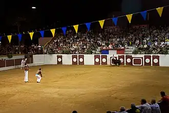 Course landaises à Maubourguet en 2011.