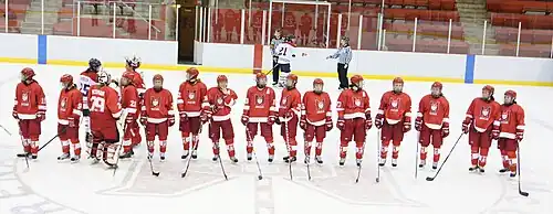 Équipe de hockey des Martlets 2011.