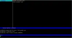 Description de l'image Mcabber.png.