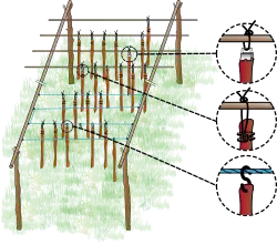Schéma représentant le séchoir : deux barres parallèles reposent chacune, par leur extrémités, sur la fourche de piquets enfoncés dans le sol ; perpendiculairement à ces barres sont placées d'autres, bien espacées, formant les traverses de suspension pour les lanières de viandes qui sèchent sans se toucher. Sur la droite du schéma, des loupes mettent en évidence les différents modes d'accrochage des lanières.