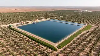 Exploitation agricole produisant la marque Medjool Star.