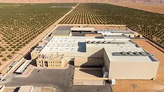 Unité d'emballage de dattes mejhoul.