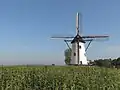 Moulin : de Witte Molen