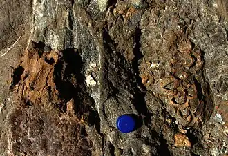 Description de cette image, également commentée ci-après