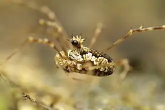 Description de cette image, également commentée ci-après