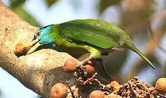 Description de cette image, également commentée ci-après