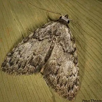 Description de cette image, également commentée ci-après