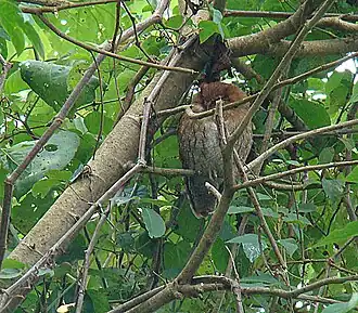 Description de cette image, également commentée ci-après