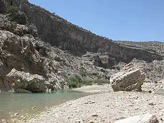 Vue générale du site actuel.