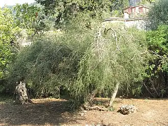 Description de cette image, également commentée ci-après