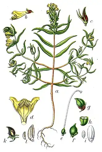 Description de cette image, également commentée ci-après