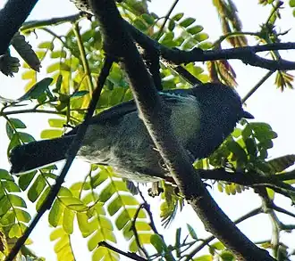 Description de cette image, également commentée ci-après
