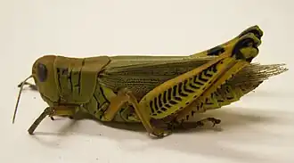 Description de cette image, également commentée ci-après