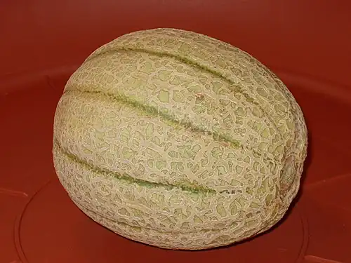 Image illustrative de l’article Melon de Cavaillon