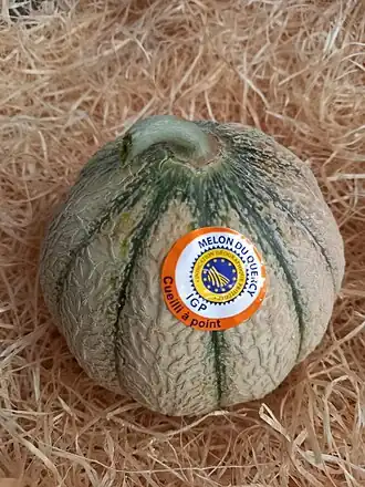 Image illustrative de l’article Melon du Quercy