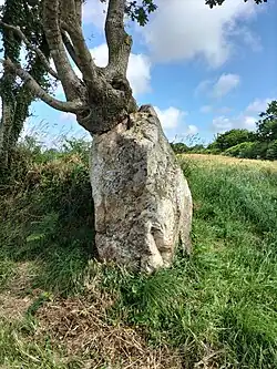 Menhir de Kereven