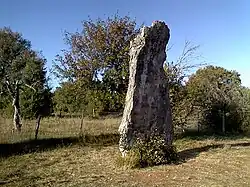 Photo du menhir de Bélinac