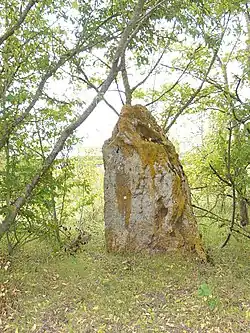 Image illustrative de l’article Menhir de Vaintray