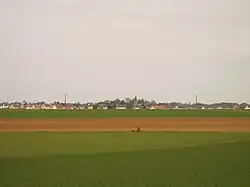 Vue des menhirs devant le village de Colomby-sur-Thaon.