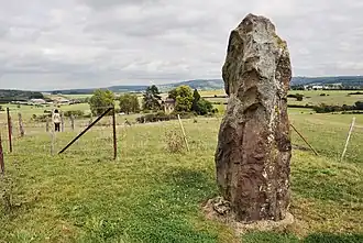 Image illustrative de l’article Menhir de Reckingen