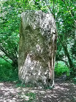 L'un des trois menhirs de Kergloglé (dit Kergloglé A) en Plovan.