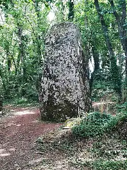 L'un des trois menhirs de Kergloglé (dit Kergloglé B) en Plovan.