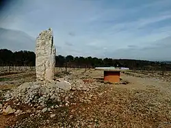 Menhir de Roque Blanque