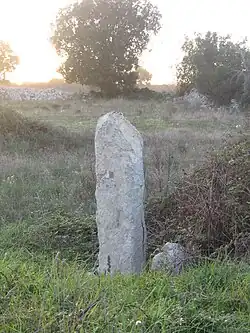 Image illustrative de l’article Menhir Pizzilonghi-Urpinara