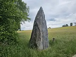 Image illustrative de l’article Menhir d'Essertes-Auboranges