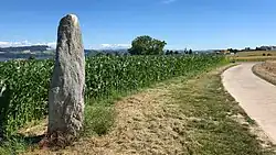 Menhirs dans les hauts de Grandson, VD, Suisse