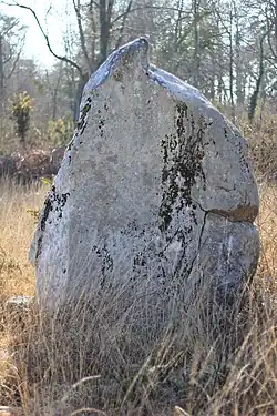 Image illustrative de l’article Menhir de Kergo
