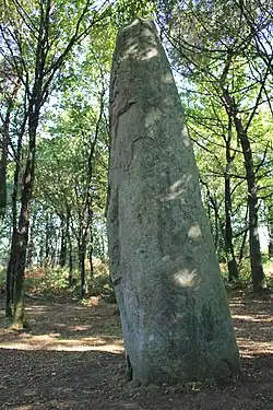 Menhir de Kermarquer.