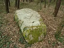 Le menhir couché de Men Plat.