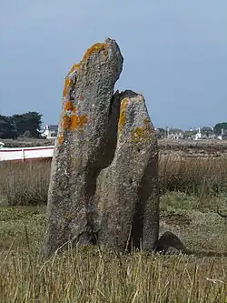 Le menhir de Toëno.