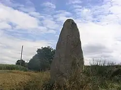 Le menhir de Camblot.