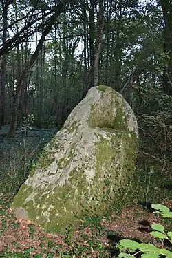 Image illustrative de l’article Pierre à l'Abbé
