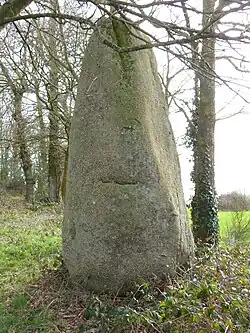 Menhir n°1.