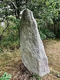 Image illustrative de l’article Menhir du Plessis-Gamat