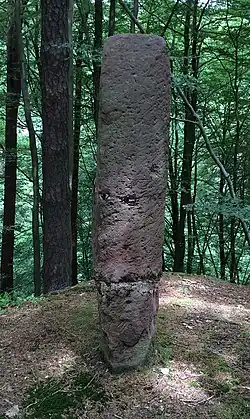 Image illustrative de l’article Menhir de Pirmasens
